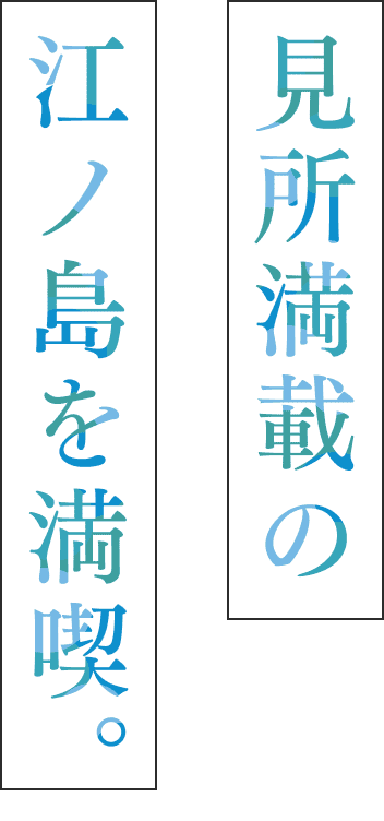 見所満載の江ノ島を満喫。